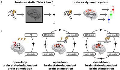 Brain State-Dependent Brain Stimulation